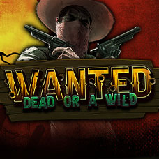 Wanted Dead or a Wild