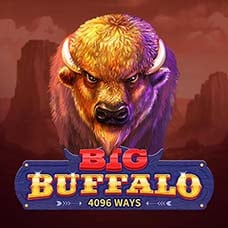 Big Buffalo