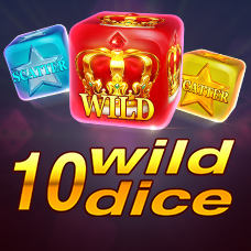 10 Wild Dice